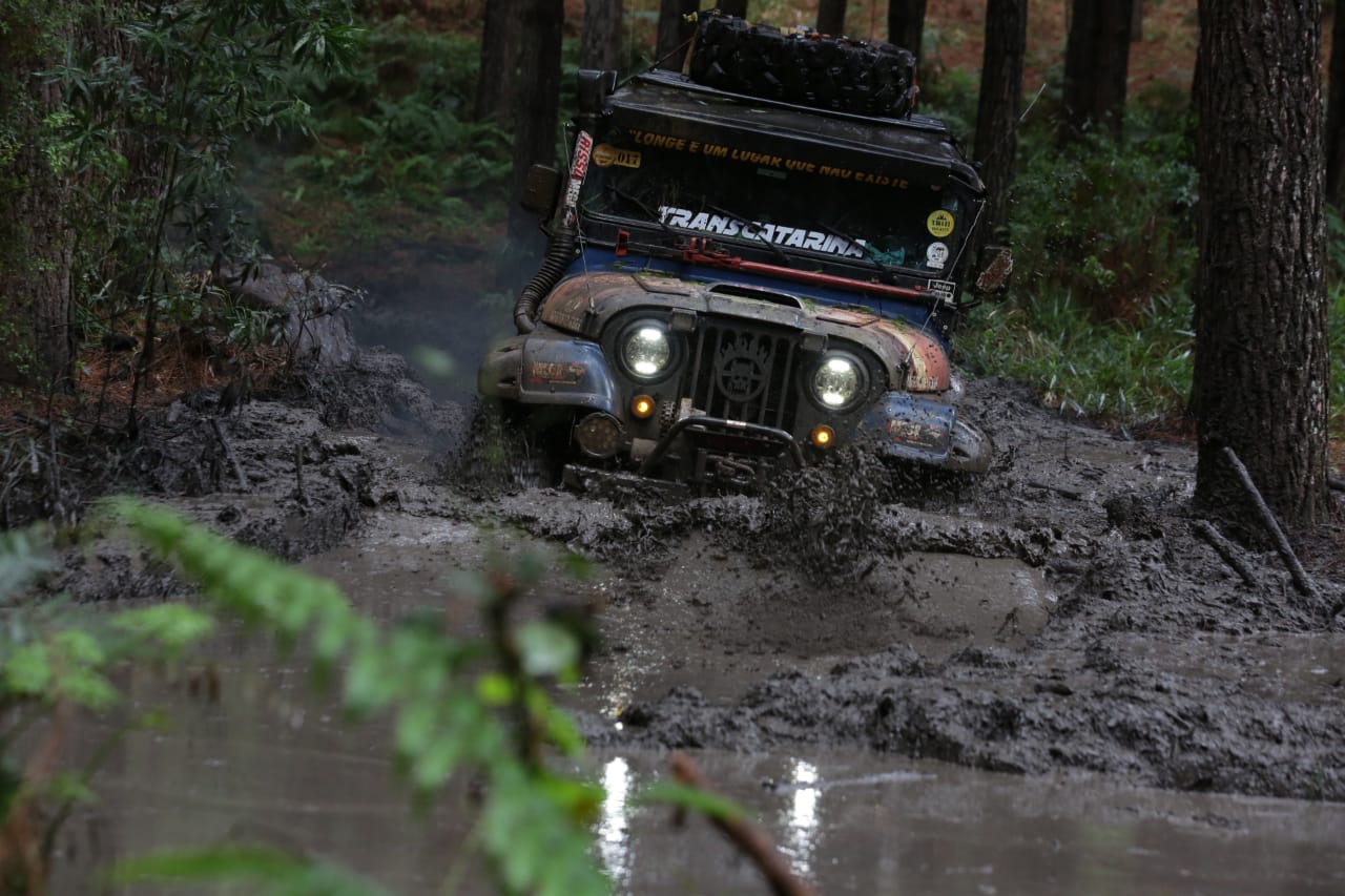Rodrigo Muniz e os segredos do coração da Amazônia