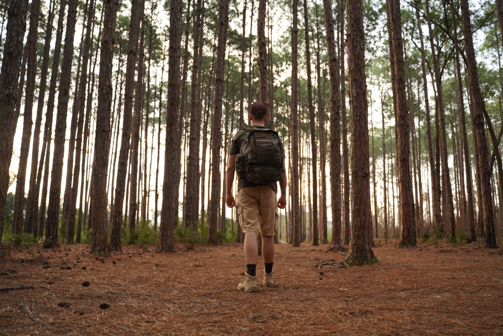 DICAS PARA A PRÁTICA DE TREKKING: UM GUIA PARA INICIANTES
