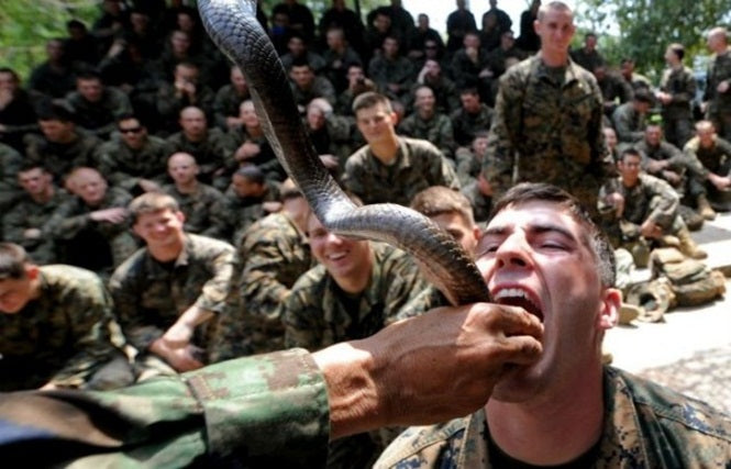 Como nasce um combatente?